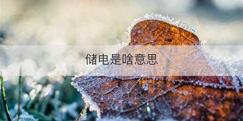 儲電與電瓶電力恢復儀 原理、作用與應用